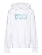 Lvb Palm Batwing Fill Hoodie / Lvb Palm Batwing Fill Hoodie Levi's Whi...