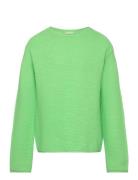 Taron MarMar Copenhagen Green