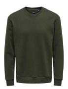 Onsceres Crew Neck Noos ONLY & SONS Green