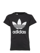 Trefoil Tee Adidas Originals Black