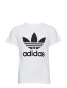 Trefoil Tee Adidas Originals White