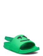 Zhappy Molo Green