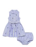 Belted Pony Oxford Shirtdress & Bloomer Ralph Lauren Baby Blue