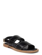 Sandals - Flat ANGULUS Black