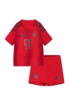 Fc Bayern Munich H Mini Adidas Performance Red