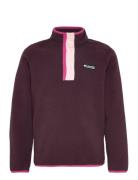 Helvetia Ii Half Snap Fleece Columbia Sportswear Purple