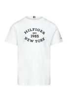 Monotype Flock Regular Tee Ss Tommy Hilfiger White