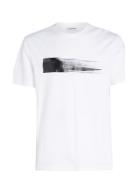 Brush Logo T-Shirt Calvin Klein White