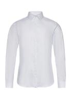 Stretch Collar Stripe Slim Shirt Calvin Klein White