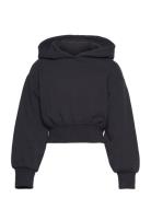 Cropped Hoody Tom Tailor Black