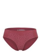 Norah Brief CHANTELLE Burgundy