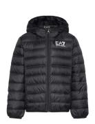 Down Jacket EA7 Black