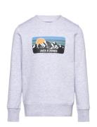 Jjpeak Sweat Crew Neck Jnr Jack & J S Grey