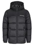 Jjmoon Hood Puffer Mni Jack & J S Black