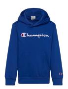 Hooded Sweatshirt Champion Blue