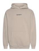 Micro Logo Graphic Loose Hood Superdry Beige