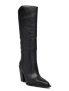 Bronty Boots Steve Madden Black