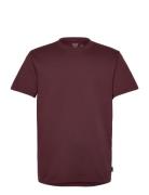 Hco. Guys Knits Hollister Burgundy