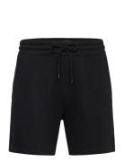 Hco. Guys Shorts Hollister Black