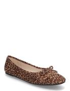 Nlfrosa Ballerina Shoe LMTD Brown