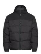 Jjmoon Hood Puffer Jack & J S Black