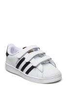 Superstar Cf I Adidas Originals White