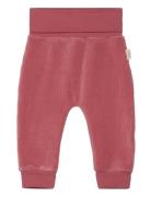 Aaro Pants Ma-ia Family Red