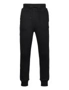 Badge Jog Pant - Gots/Vegan Knowledge Cotton Apparel Black