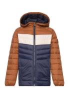 Jjesprint Puffer Hood Noos Jnr Jack & J S Navy