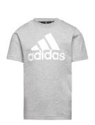 U Bl Tee Adidas Sportswear Grey