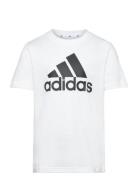 U Bl Tee Adidas Sportswear White