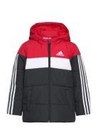 Padded Jacket Kids Adidas Sportswear Red