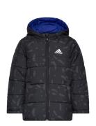 Jk Rev Pad Jkt Adidas Sportswear Black