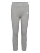 Lk 3S Tight Adidas Sportswear Grey