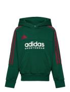 J Np Hoodie Adidas Sportswear Green