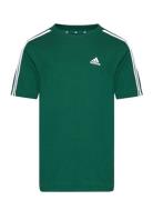 U 3S Tee Adidas Sportswear Green