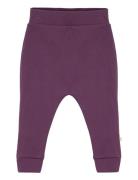 Pants, Maple Syrup Smallstuff Purple