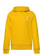 Small Monogram Hoodie Calvin Klein Yellow