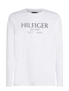 Big Hilfiger Ls Tee Tommy Hilfiger White