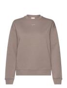Nano Logo Crew Neck Sweatshirt Calvin Klein Beige