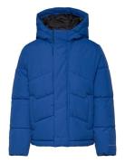 Jjworld Puffer Jacket Mni Jack & J S Blue