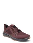 Terracruise Ii W ECCO Brown