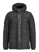 Jcospeed Puffer Sn Mni Jack & J S Black