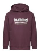 Hmltukas Hoodie Hummel Purple