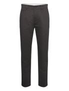 Chuck Regular Chino Twill Pants - G Knowledge Cotton Apparel Black