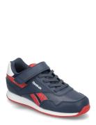 Reebok Royal Cl Jog 3.0 1V Reebok Classics Navy