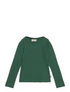 T-Shirt L/S Modal Petit Piao Green