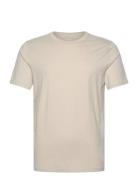 Hco. Guys Knits Hollister Cream