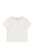 Rib Jersey T-Shirt Copenhagen Colors Cream