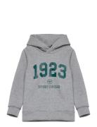 Hmlnipps Hoodie Hummel Grey